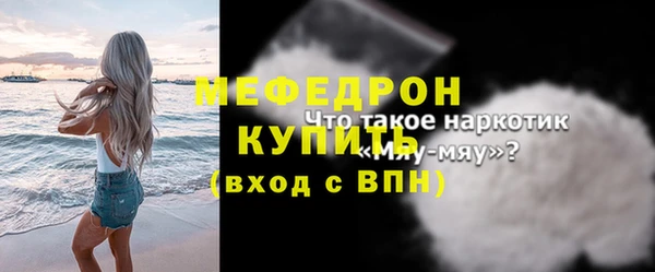индика Дмитров